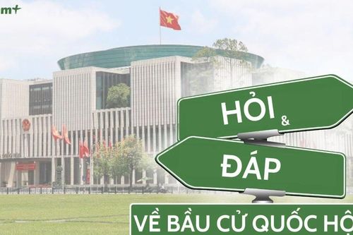 Nguyên tắc xác định người trúng cử được quy định như thế nào