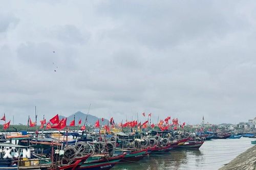Ngư dân Gia Lai, Hưng Yên cập bến sớm để thực hiện quyền công dân trong ngày bầu cử