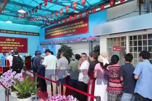 Cử tri Thành phố Hồ Chí Minh nô nức đi bầu cử