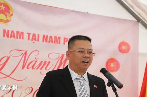 Kiều bào tại Nam Phi tin tưởng Quốc hội khóa XVI dẫn dắt đất nước phát triển toàn diện