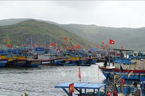 Ngư dân Gia Lai cập bến sớm để thực hiện quyền công dân