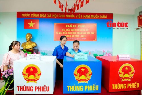 Thanh niên tình nguyện hỗ trợ cử tri khiếm thị đi bầu cử