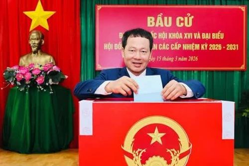Đồng Nai: Gần 740 ngàn cử tri đi bỏ phiếu từ sớm