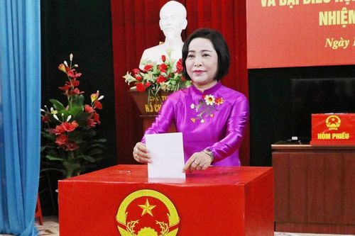 Phó Chủ tịch Quốc hội Nguyễn Thị Thanh bỏ phiếu bầu cử tại tỉnh Ninh Bình