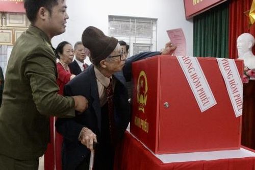Những 'cây cao bóng cả' góp sức cho ngày hội non sông