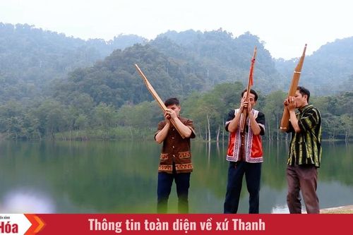 Như suối hát tình ca