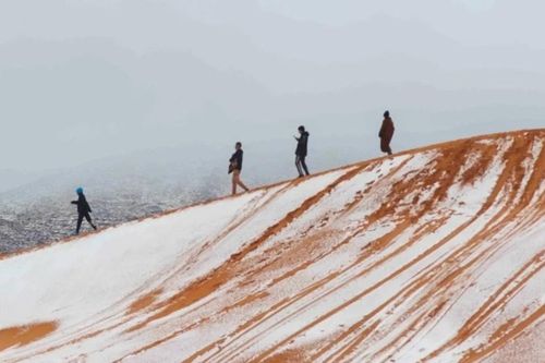 Algeria: Tuyết rơi trắng xóa phủ lên các cồn cát sa mạc Sahara nóng nhất thế giới