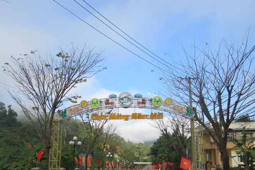 Chờ đợi ở Nam Trà My