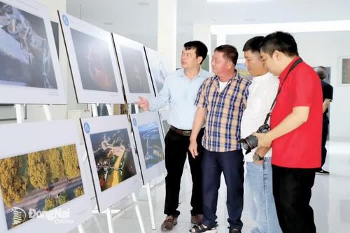 Ðiện ảnh và nhiếp ảnh đồng hành cùng quê hương, đất nước