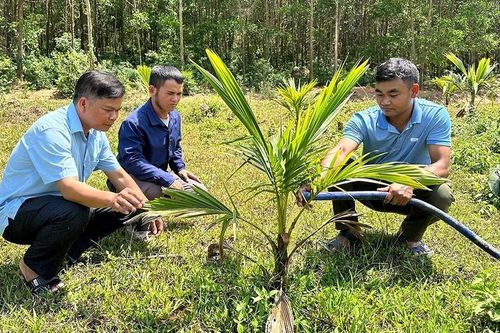 Gia Lai tạo sinh kế cho đồng bào vùng dân tộc thiểu số