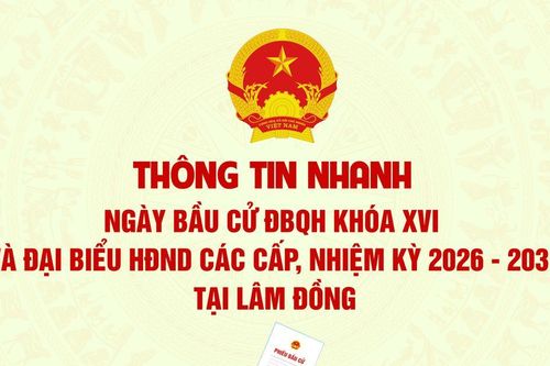 Nhân dân Lâm Đồng tích cực hưởng ứng ngày bầu cử