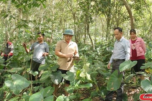 Mường Chiên - Khơi dậy tiềm năng phát triển