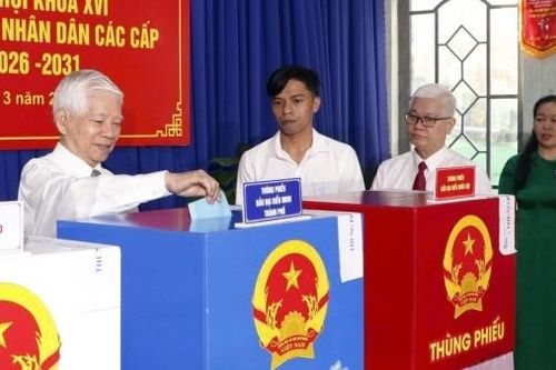 TP. Hồ Chí Minh: Nhiều cử tri phường Phú An có mặt từ 6h sáng để bầu cử