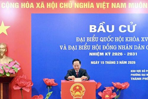 Trưởng Ban Tuyên giáo và Dân vận Trung ương Trịnh Văn Quyết bỏ phiếu bầu cử tại khu vực bỏ phiếu số 16, phường Đại Mỗ, Hà Nội