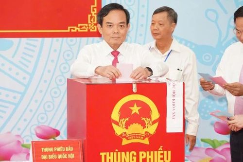Trên 80% cử tri cả nước đã bỏ phiếu sau 8 giờ