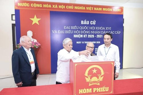 Hơn 76 triệu cử tri cả nước đi bầu cử, đạt tỷ lệ 99,38%