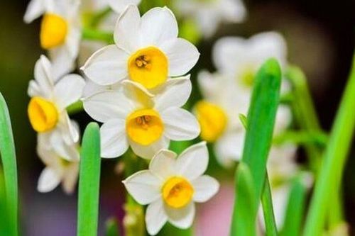 Người khiêm tốn trong 3 điều này thường không đơn giản, rất khôn ngoan và bản lĩnh