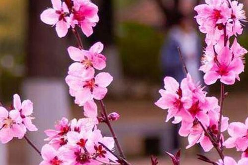 Đời người, điều gì là đắt giá nhất?