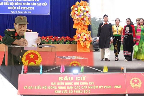 Cụ ông 96 tuổi mặc quân phục đi bầu cử khiến nhiều người xúc động