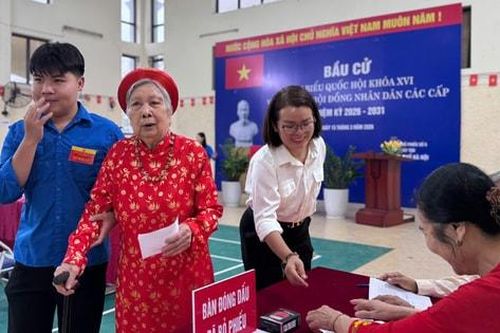 Cử tri phường Tây Tựu tích cực đi bầu cử, đã có đơn vị đạt 100%