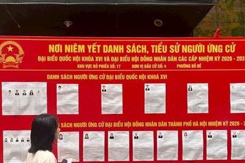 Các nhà ngoại giao quốc tế đánh giá cao cuộc bầu cử tại Việt Nam
