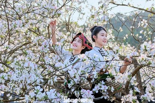 Tuổi nào may mắn nhất tuần 16/3 - 22/3, kết nối tiết Kinh Trập và Xuân Phân?