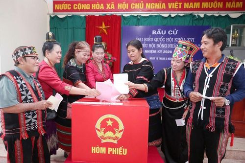Cử tri lớn tuổi nhất thực hiện bầu cử là cụ Hoàng Thị Tồng, 119 tuổi