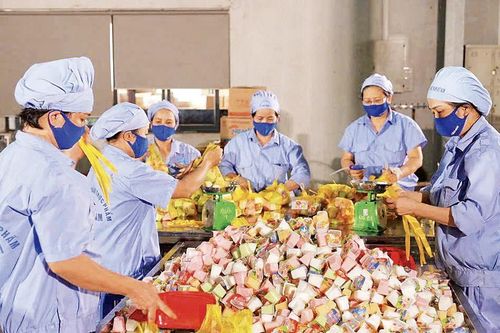 Chủ động các giải pháp ổn định nguồn nhân lực