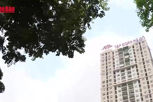Giá nhà vượt xa thu nhập, nhiều người phải tích lũy 30 năm mới mua được nhà