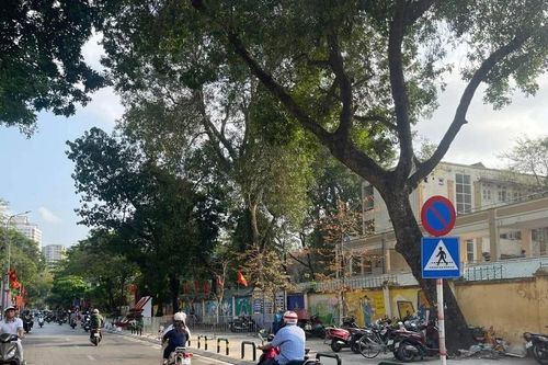 Rào chắn vỉa hè trả lại không gian cho người đi bộ ở phường Kim Liên, Hà Nội