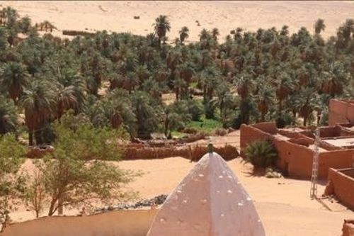 Các ốc đảo ở sa mạc Sahara: Nhịp sống xanh giữa biển cát