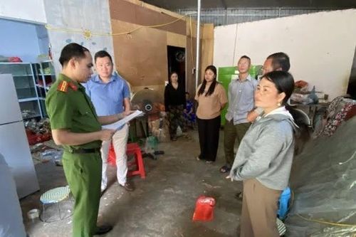 Bị khởi tố vì tự hái cây rừng, chế thành 'thuốc' Nam để bán