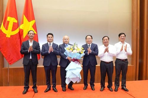 Ông Đỗ Thành Trung được điều động, chỉ định giữ chức Phó Bí thư Thành ủy Hải Phòng