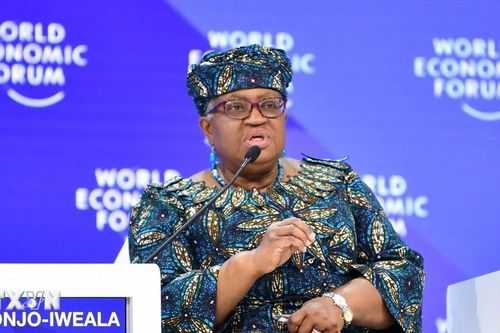 WTO: Thương mại toàn cầu đối mặt khủng hoảng nghiêm trọng nhất trong 80 năm qua