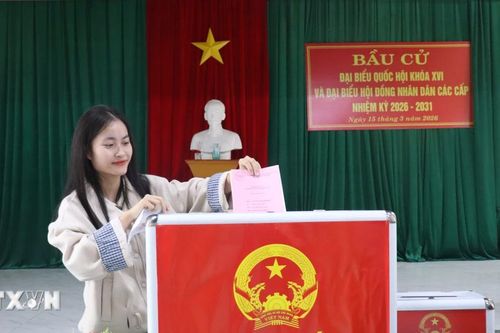 Bầu cử Quốc hội và Hội đồng Nhân dân: Tỷ lệ cử tri tham gia bỏ phiếu đạt 99,68%