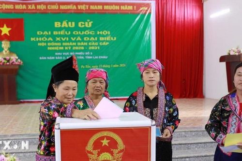 Bầu cử Quốc hội và HĐND: Củng cố vai trò hoạch định chính sách trong phát triển đất nước