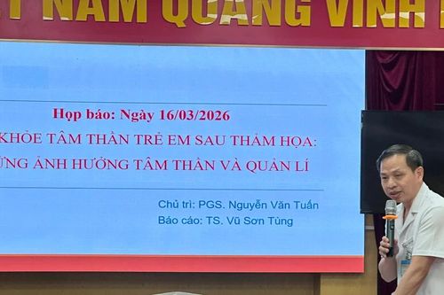 Bảo vệ trẻ em trước nguy cơ ảnh hưởng sức khỏe tâm thần sau thảm họa
