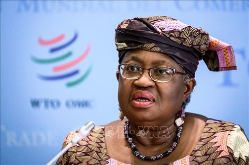 WTO: Thương mại toàn cầu đối mặt khủng hoảng nghiêm trọng nhất kể từ Chiến tranh thế giới thứ hai