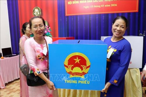 Quy trình xử lý phiếu bầu sau khi kết thúc bầu cử