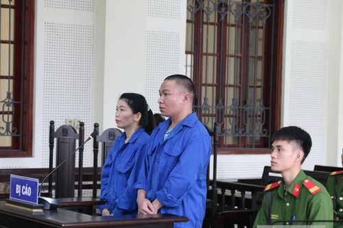 Vợ chồng kéo nhau vào tù, gánh nặng đè lên vai người mẹ già yếu