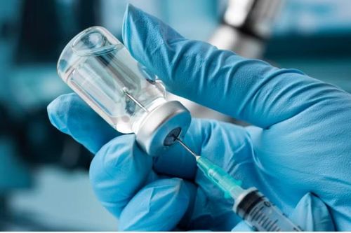 AI hỗ trợ tạo ra vaccine cứu chú chó bị ung thư