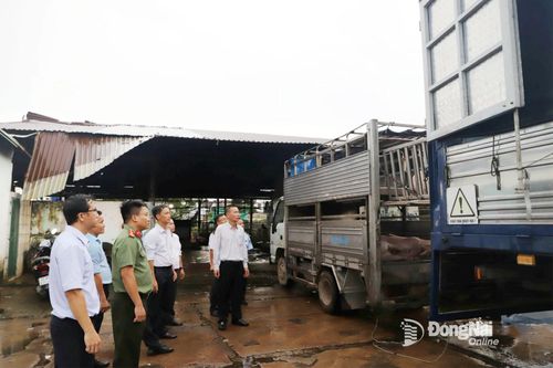 Đồng Nai siết chặt quản lý chăn nuôi và quyết liệt ngăn chặn chất cấm trong thực phẩm