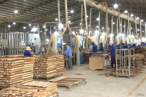 Cơ hội tái cấu trúc ngành nông - lâm nghiệp
