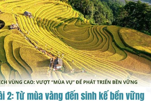 Bài 2: Từ mùa vàng đến sinh kế bền vững