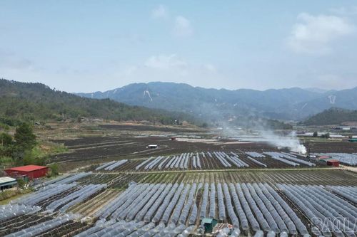 Cuộc cách mạng trên đất khó Púng Luông
