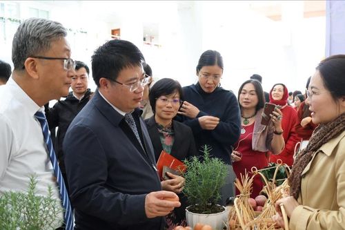 Cô giáo biến tri thức thành sản phẩm khởi nghiệp