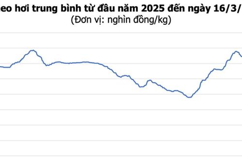 Giá heo hơi hôm nay 16/3: Thị trường đi ngang, cao nhất 66.000 đồng/kg