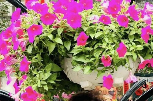 NSND Minh Châu: Cuộc sống độc hành kiêu hãnh của 'người đàn bà đẹp' ở tuổi 70