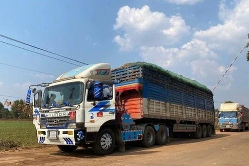 Tạm dừng áp dụng Nghị định số 46 về an toàn thực phẩm đến hết ngày 15/4/2026