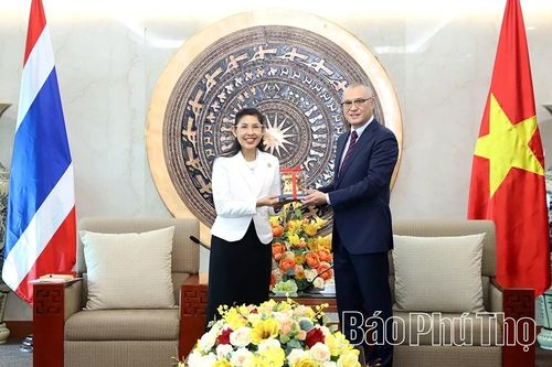 Bí thư Tỉnh ủy Phạm Đại Dương tiếp Đại sứ Vương quốc Thái Lan tại Việt Nam